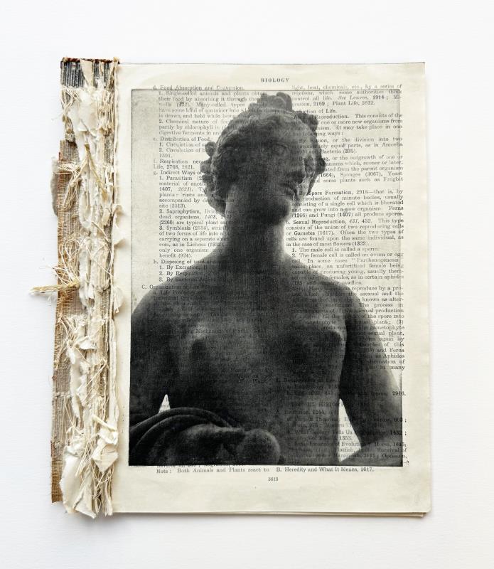 Venus 